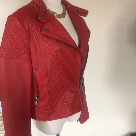 Bagatelle NYC - Picture 7 of 8